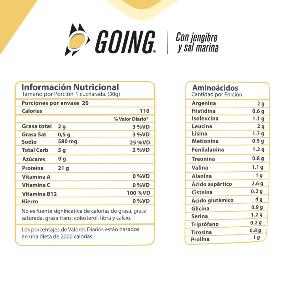 PROTEINA GOING SABOR CHOCOLATE (SOBRE 30 GRAMOS)